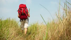 Hiking through tall grass when there are a lot of ticks, and what you should watch out for.