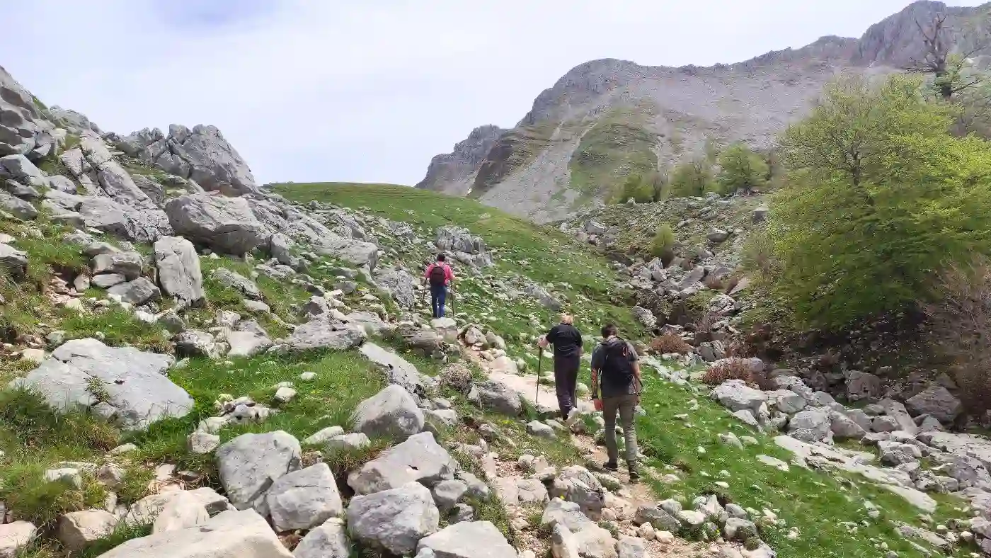 Trekking with and without hiking poles in the mountains and nature of Italy.