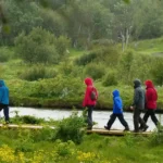 A group of hikers walk on a wooden walkway next to a stream in a wooded area.