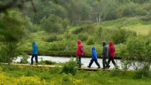 A group of hikers walk on a wooden walkway next to a stream in a wooded area.