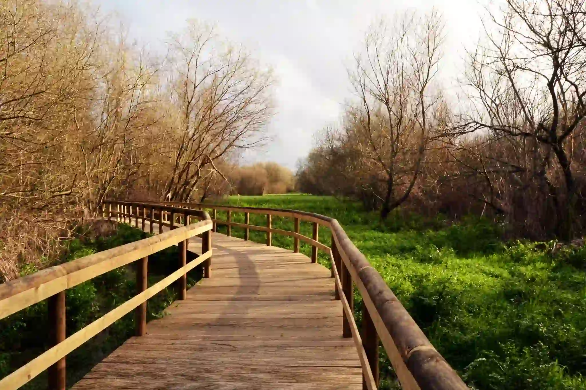 A wooden walkway crossing a green field surrounded by autumn trees. 