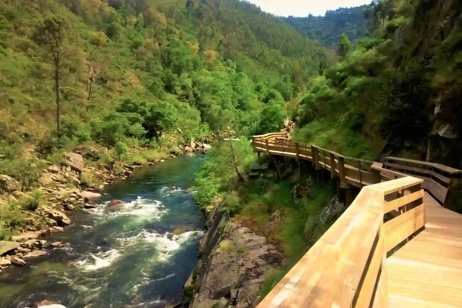 A wooden walkway passes alongside a small ravine and a fast moving stream.