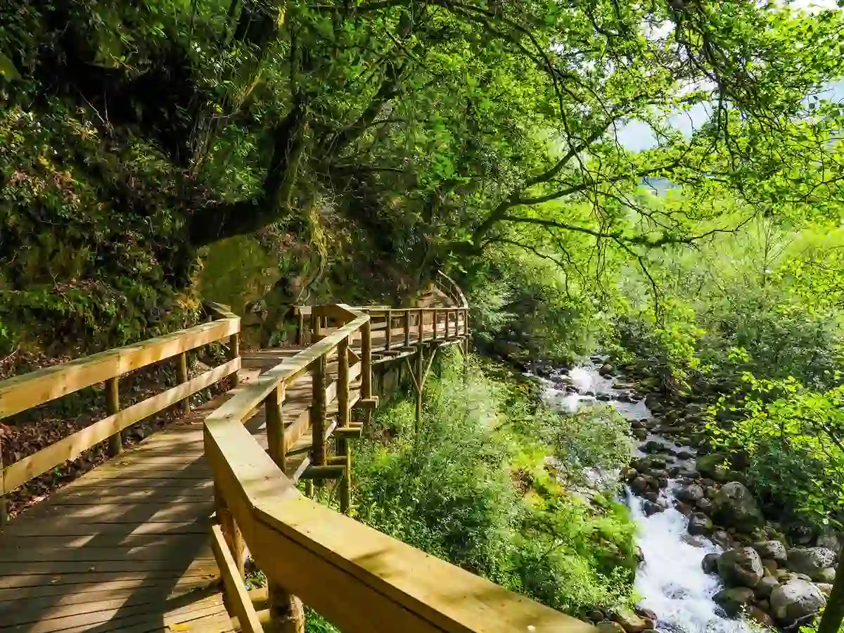 View of the Arouca 516 