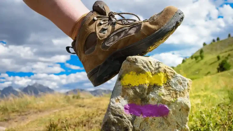 Hiking boots and shoes that you need while trekking in the outdoors.