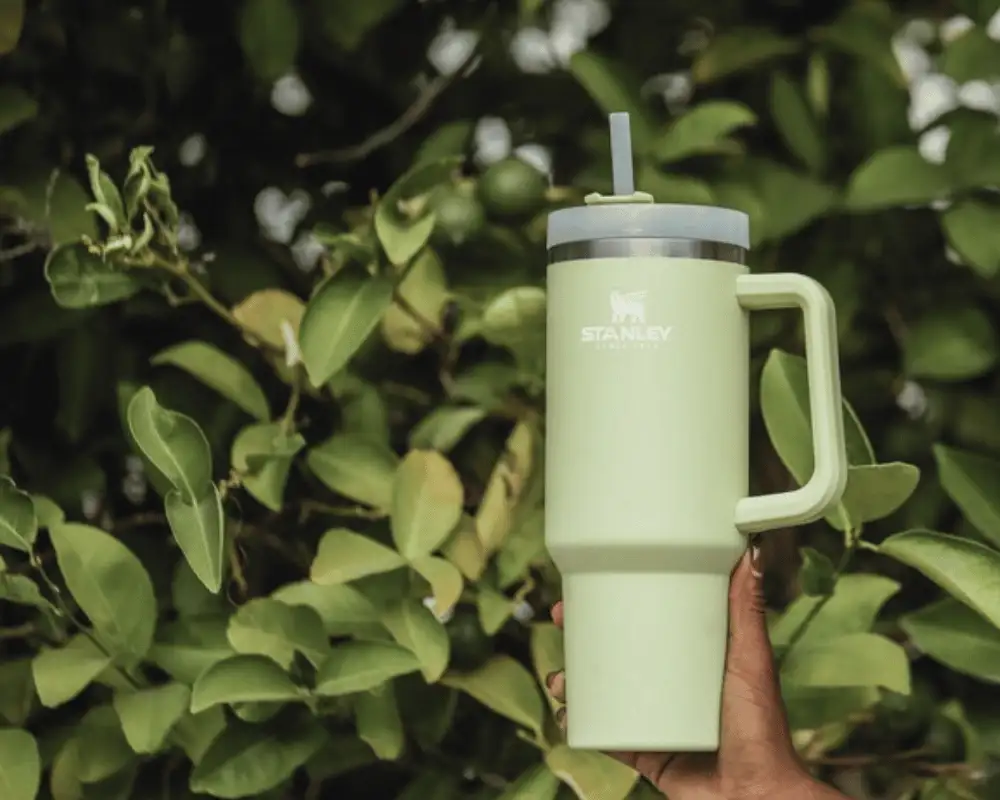 Light green Stanley cup quencher flowstate water bottle held up.