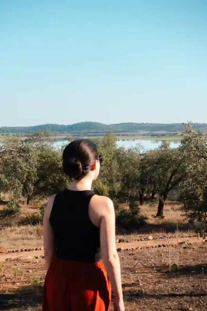 View of the Alentejo fields and alqueva river at Montimerso hotel in Alentejo, Portugal.