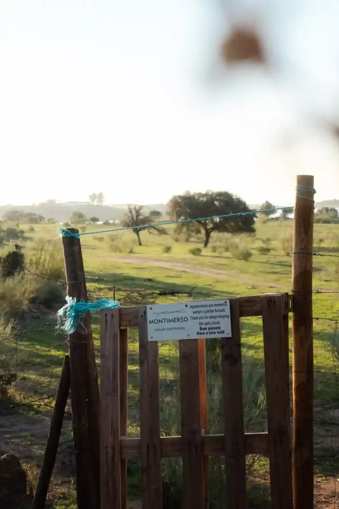 Access to the alqueva lake from the Montimerso Skyscape Country House hotel in Alentejo, Portugal.
