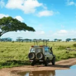 Game drive safari landscapes in Tanzania, Africa.
