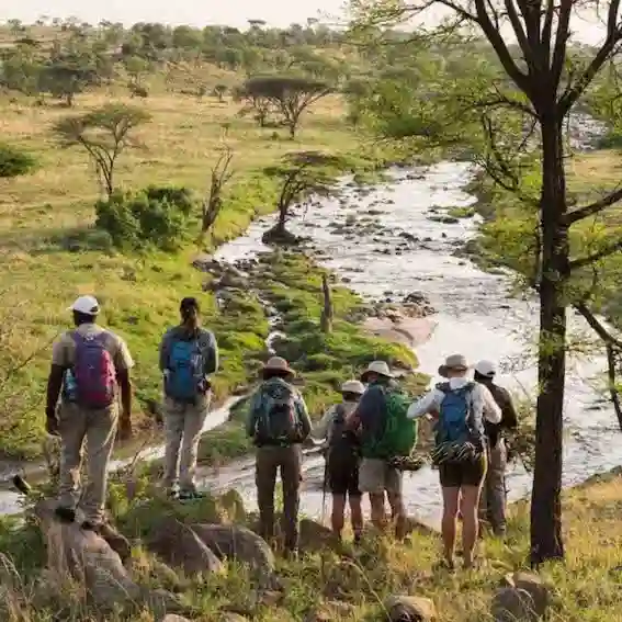 Small group on a walking safari in Africa.