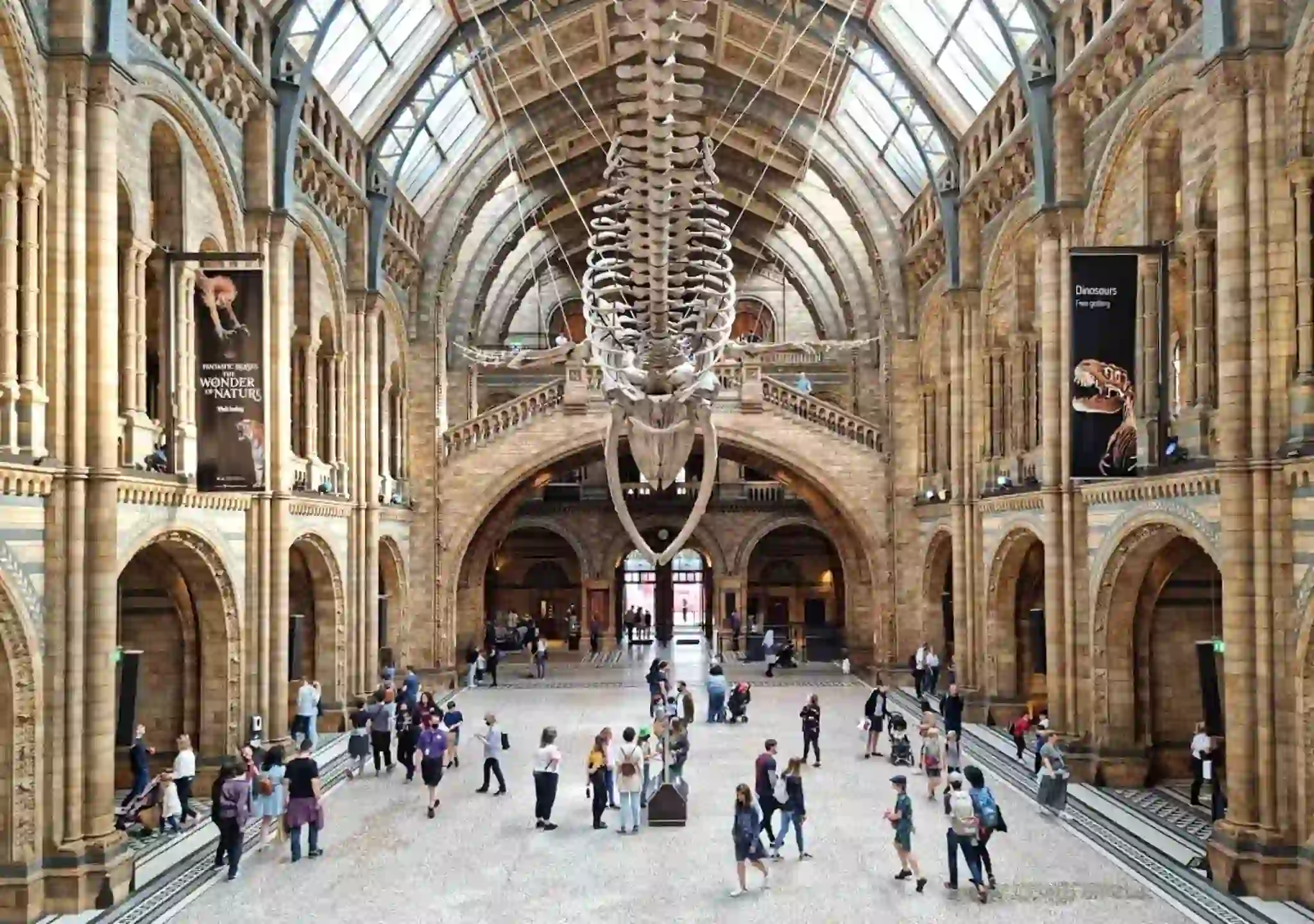 The main hall of the Natural History Museum in London, UK.