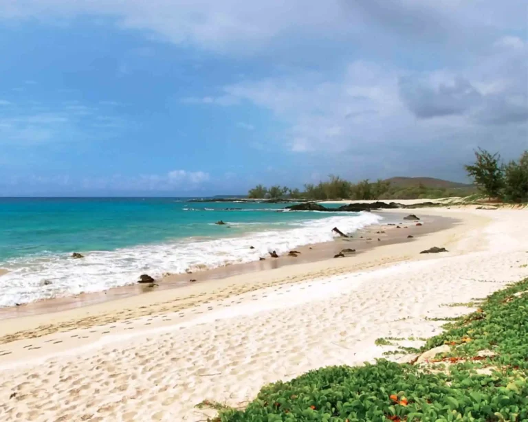 The empty and isolated Makalawena Beach in Hawaii, USA.