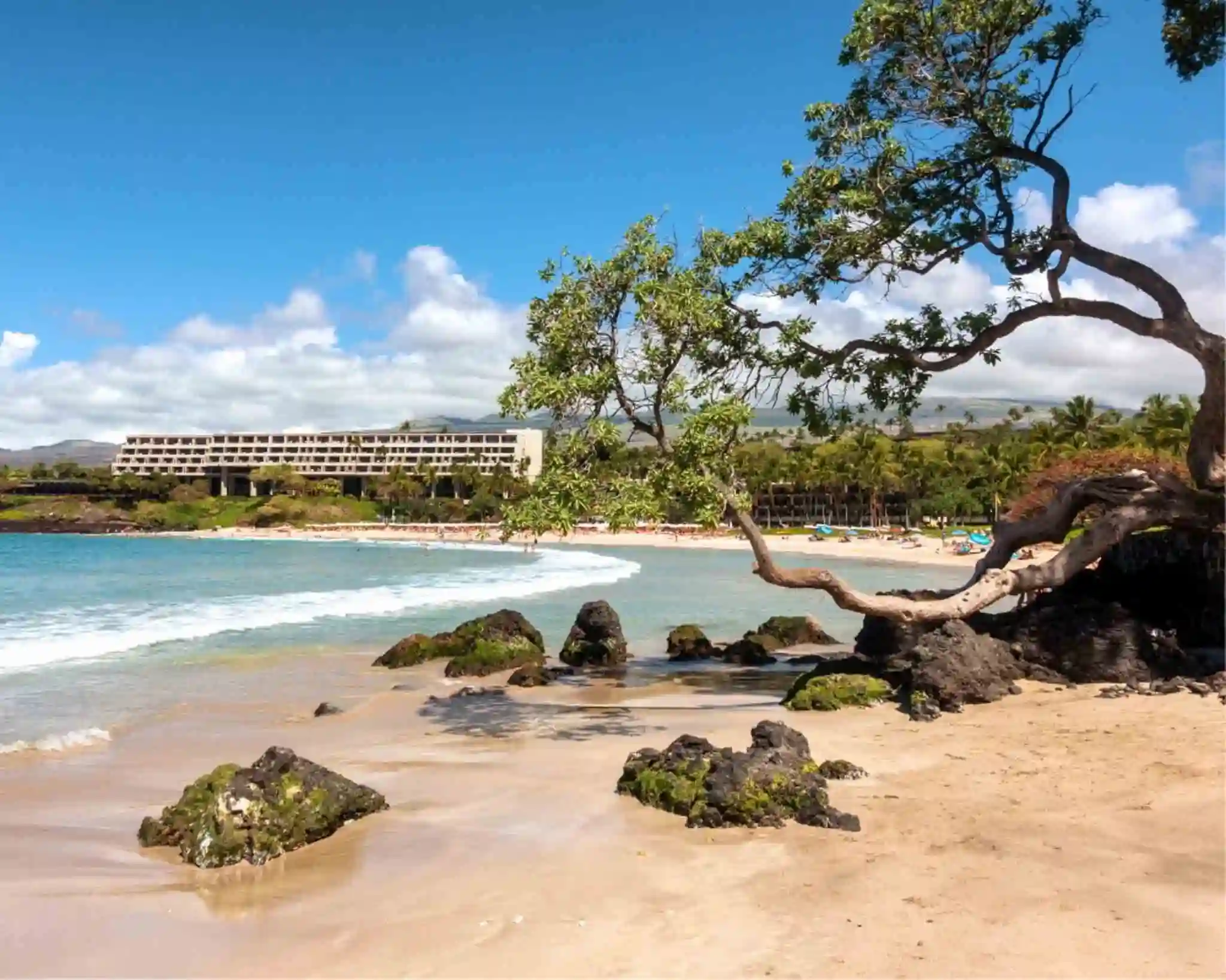 A tree juts out over Mauna Kea Beach, while a large white building complex is visible in the background. 